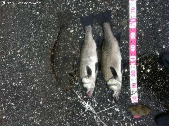 �ҥ饹����