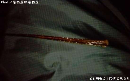 ������Ϸ�γѡʡ�������