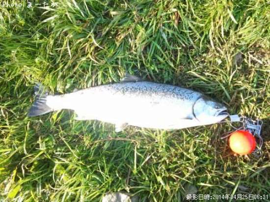 ������ޥ�