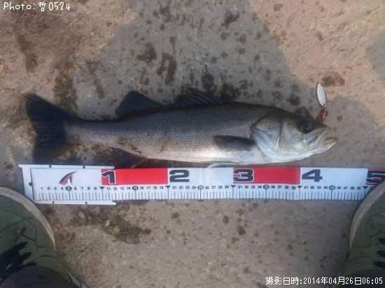 �����Х�