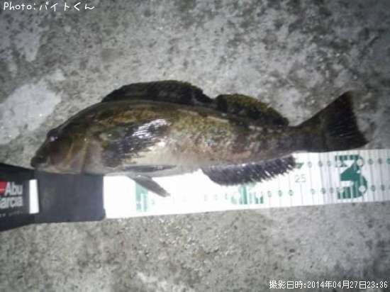 �����ʥ�