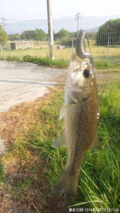 �֥�å��Х�