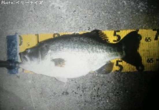 �֥�å��Х�