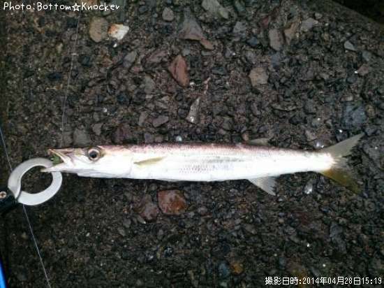 �������ޥ�