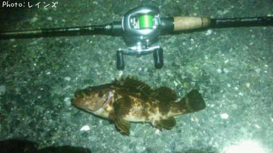 �����Υ��������ʥ�