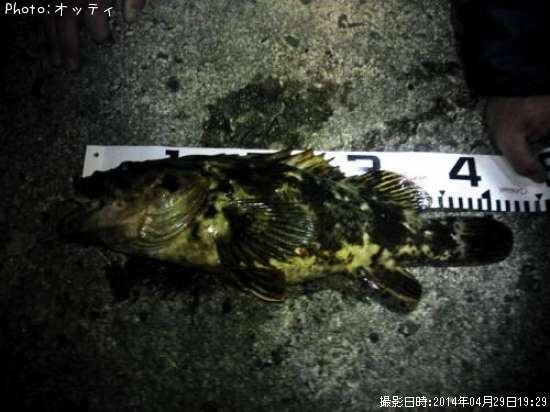 �٥å�������