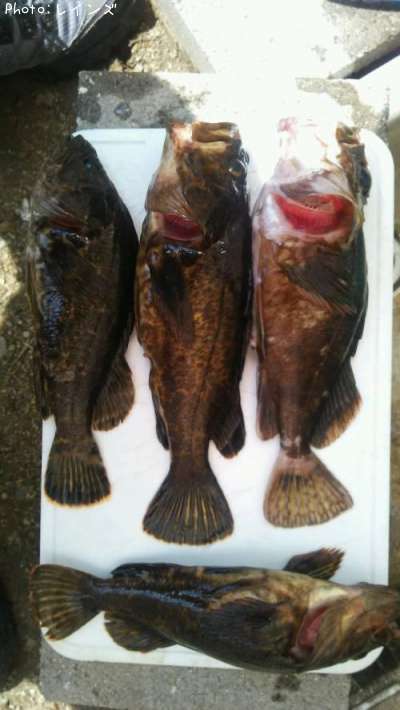 �������������Υ�