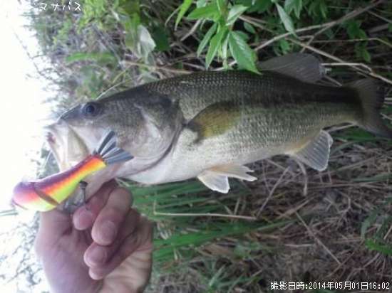 �֥�å��Х�