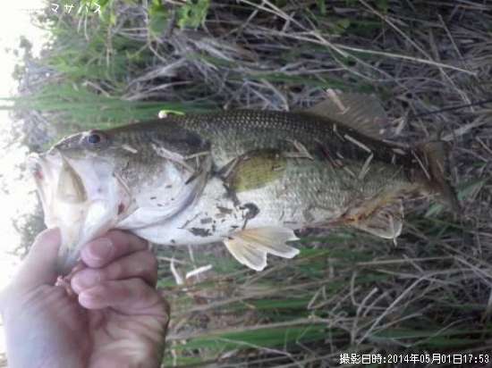 �֥�å��Х�