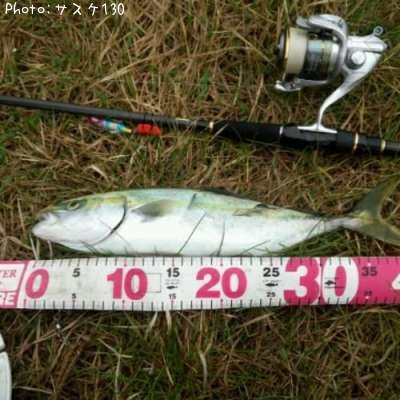 ���ʥ���