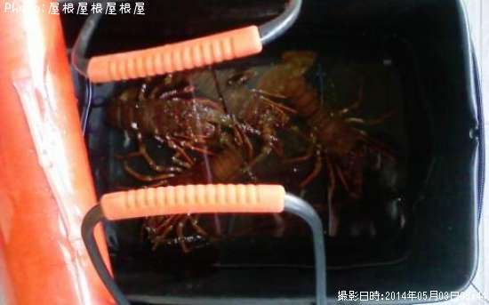 ������Ϸ