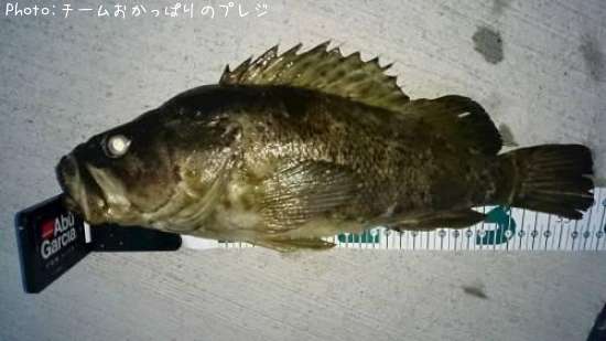 �������Υ���Х�