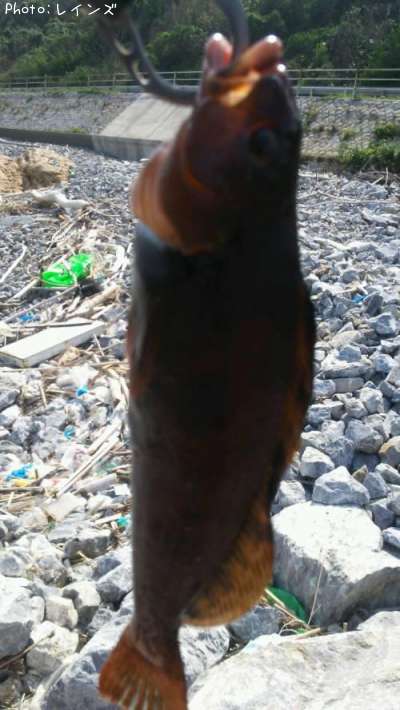 �����ʥ�