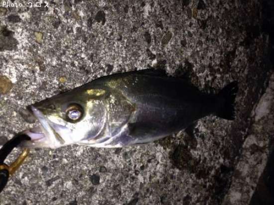 �����Х�