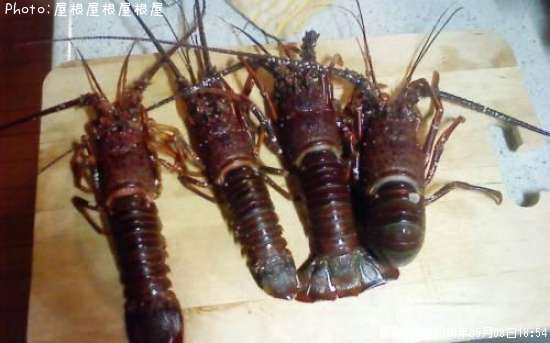 ������Ϸ