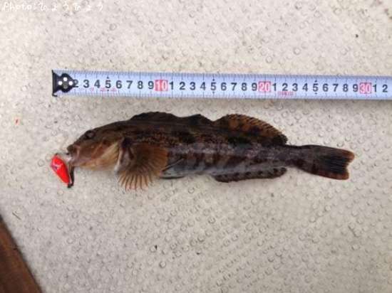 �����ʥ�