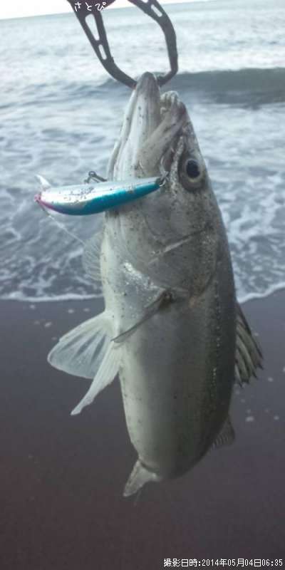 �����ե����Х�