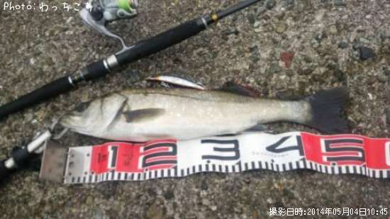 �����Х�