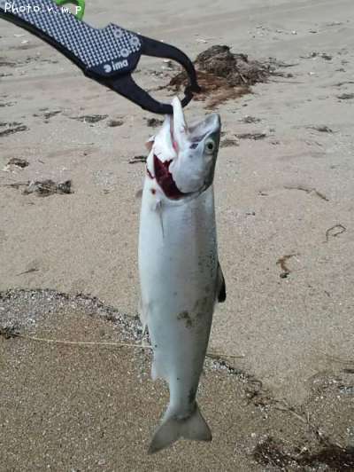 ������ޥ�