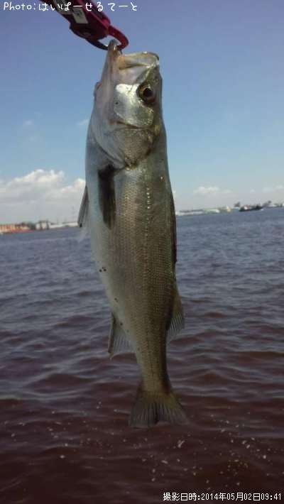 �����Х�