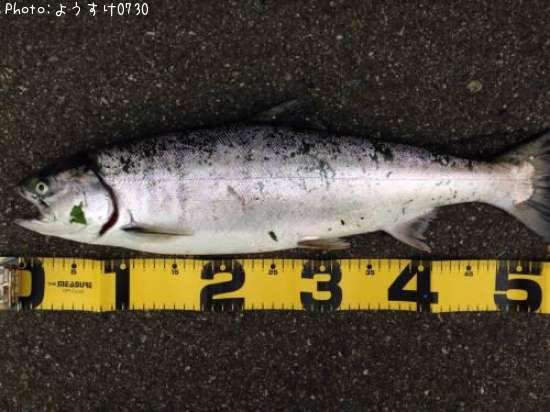 ������ޥ�