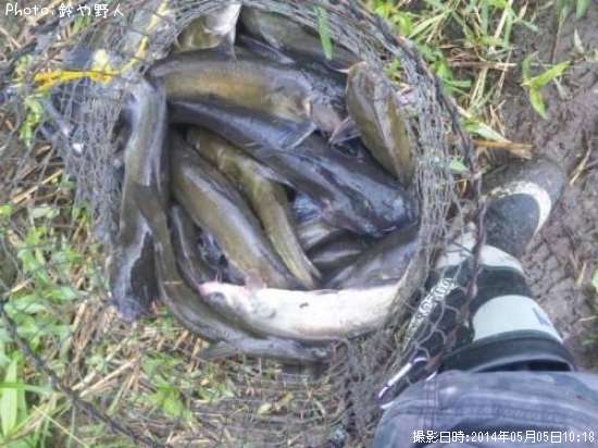 ����åȥե��å���