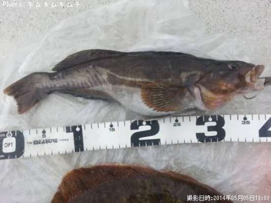 �����ʥ�