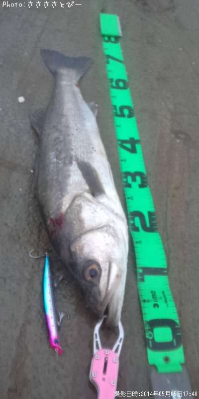 �����Х�