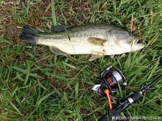 �֥�å��Х�