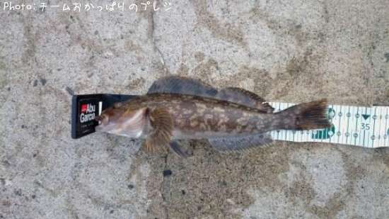 �����ʥ�