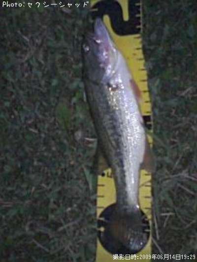 �֥�å��Х�