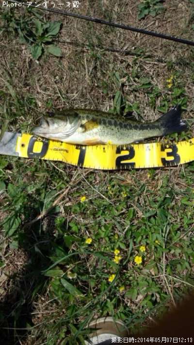 �֥�å��Х�