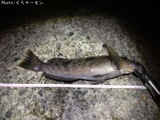 �����ʥ�