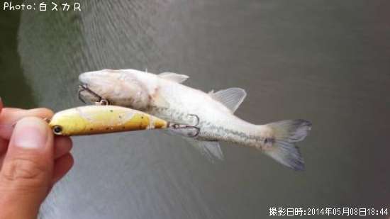 �顼���ޥ����Х�