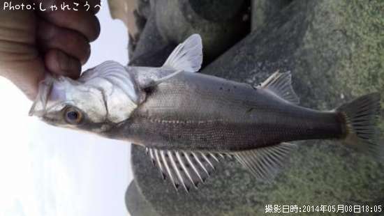 �����Х�