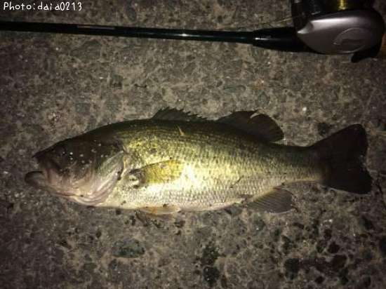 �֥�å��Х�