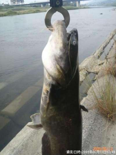 �ʥޥ����˥���