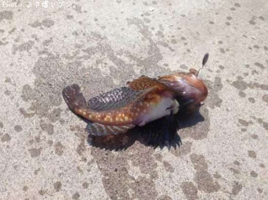 �٥�������