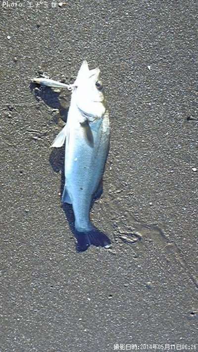 �����Х�