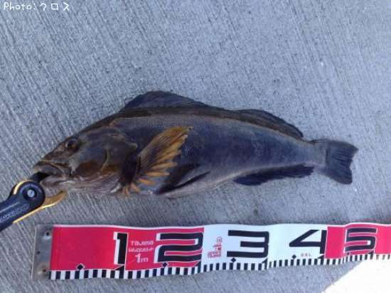 �����ʥ�