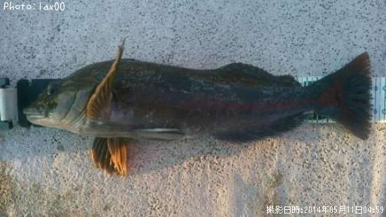 �����ʥ�