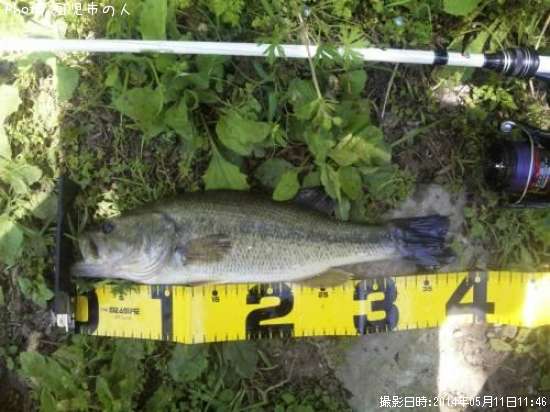 �֥�å��Х�