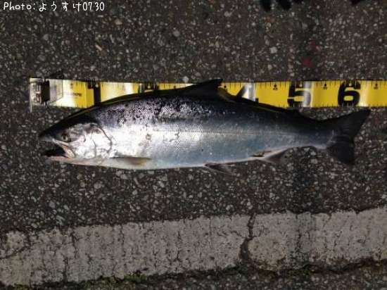 ������ޥ�