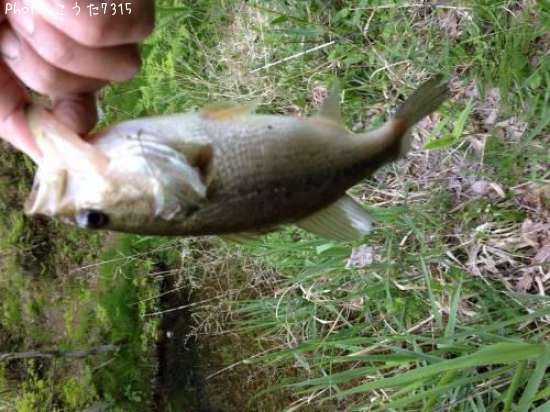 �֥�å��Х�