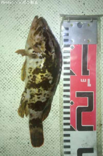 �����Υ���Х�