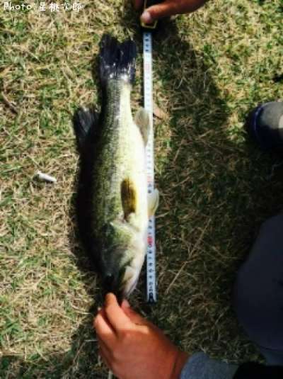 �֥�å��Х�