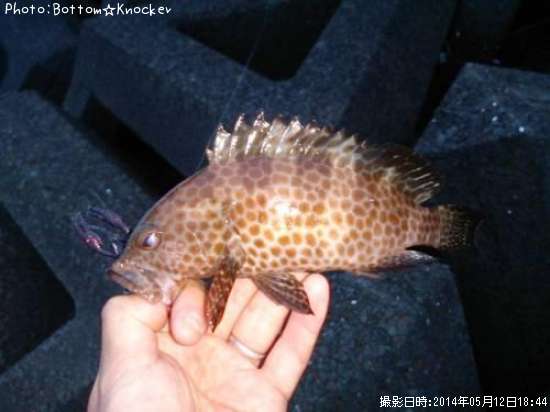 �������ϥ�