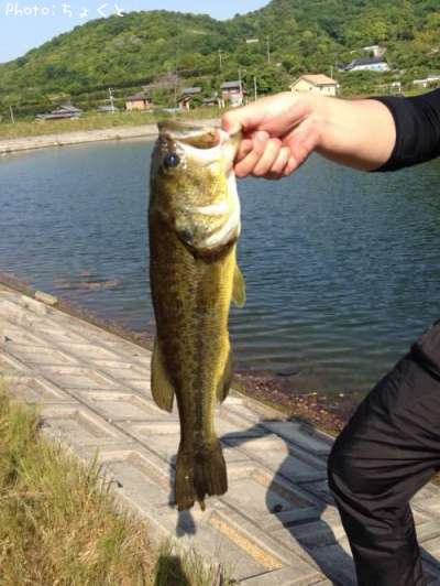 �֥�å��Х�