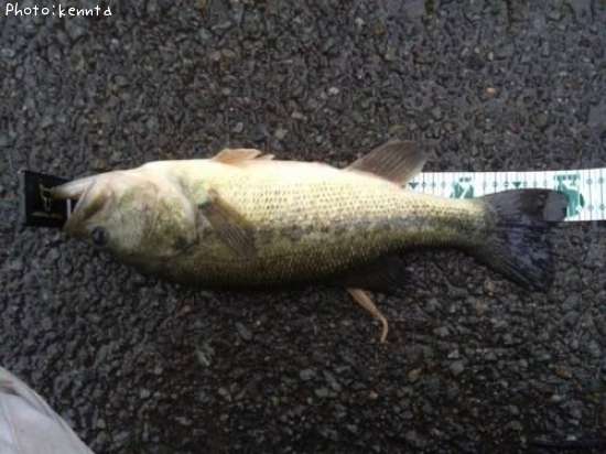 �֥�å��Х�