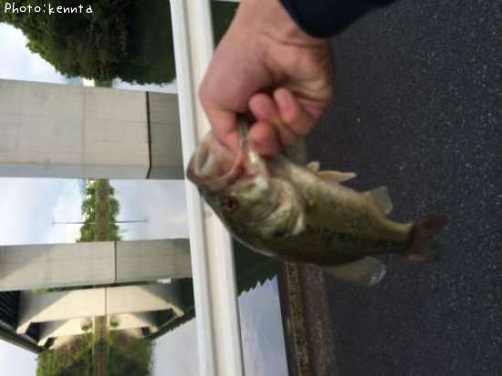 �֥�å��Х�